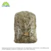 Lvd Laing Dried